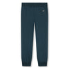 Lanvin Pants Curbisme Blue