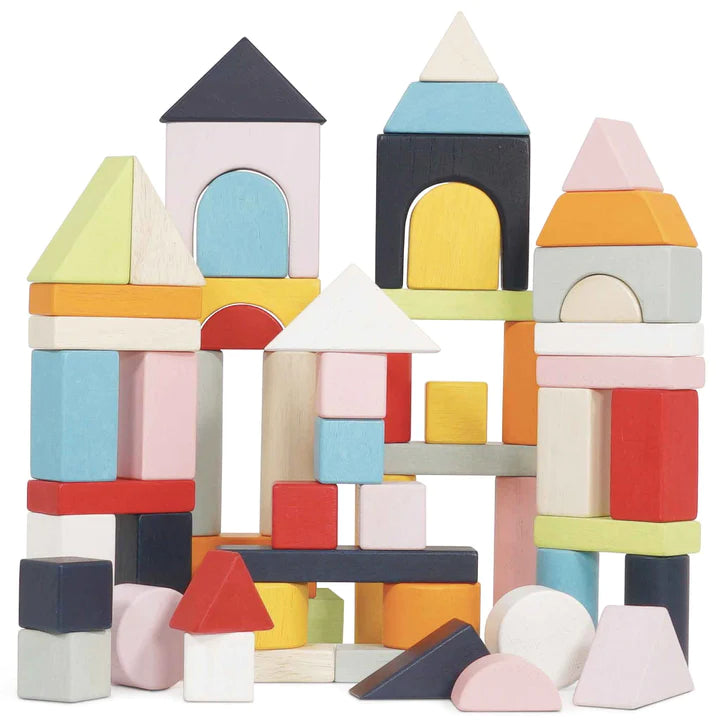 Le Toy Van Building Blocks & Bag